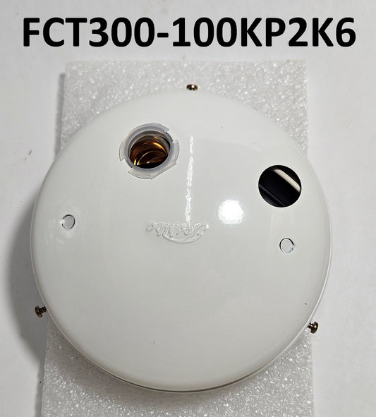 FLOURESCENT WORK LAMP ASSEMBLY